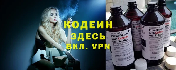 дживик Няндома