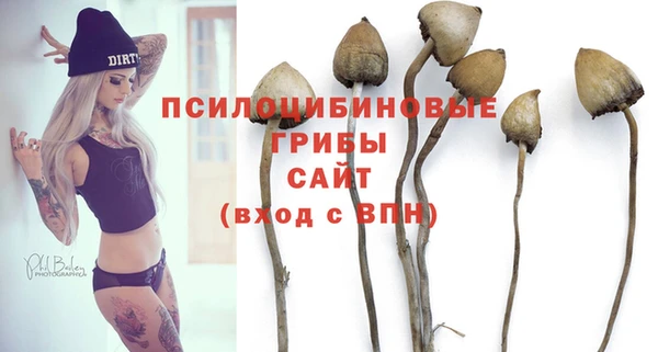 тгк Новокубанск
