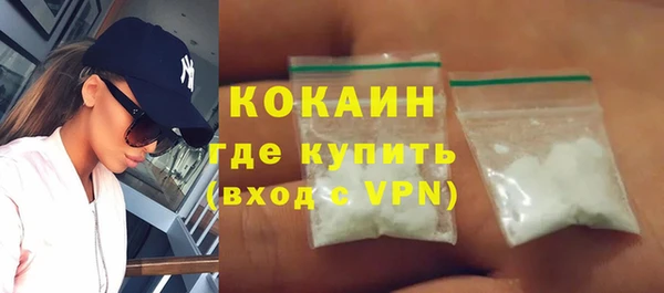 дживик Няндома