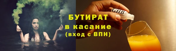 дживик Няндома