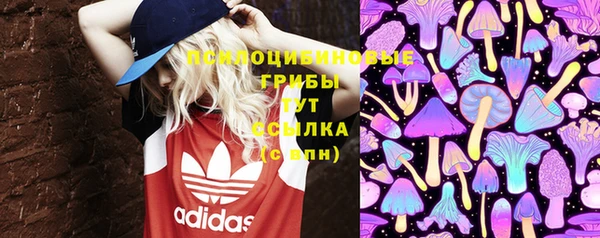 круглые Новодвинск