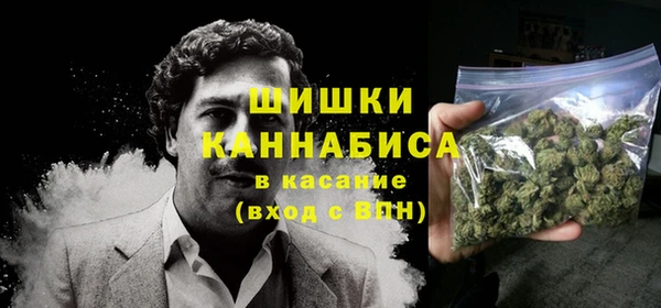 дживик Няндома