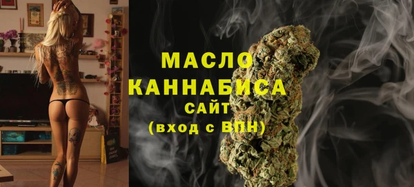 дживик Няндома