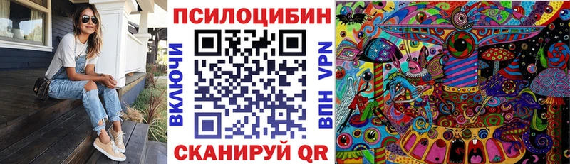 цены наркотик площадка формула Псилоцибиновые грибы прущие грибы Хотьково