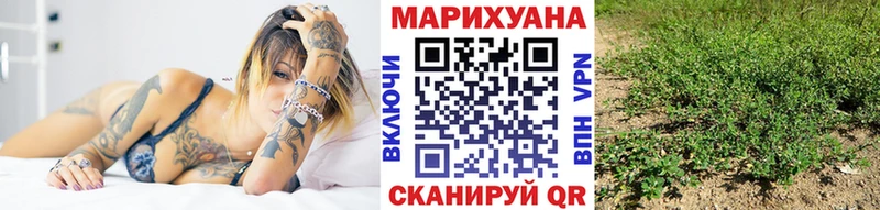 блэк спрут зеркало  Хотьково  Марихуана индика  цены наркотик 